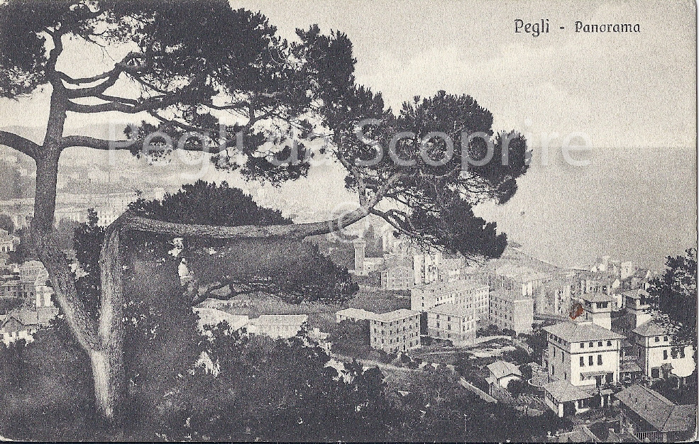 cartpan05