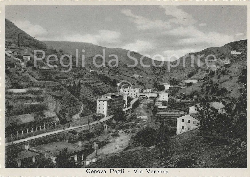 cartvar05