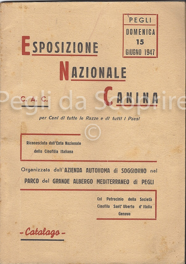 esposizione canina 1947