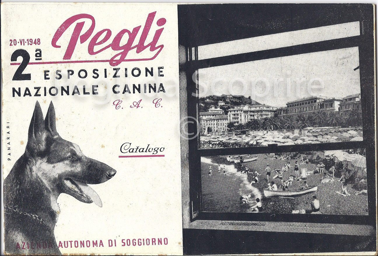 catalogo esposizione canina