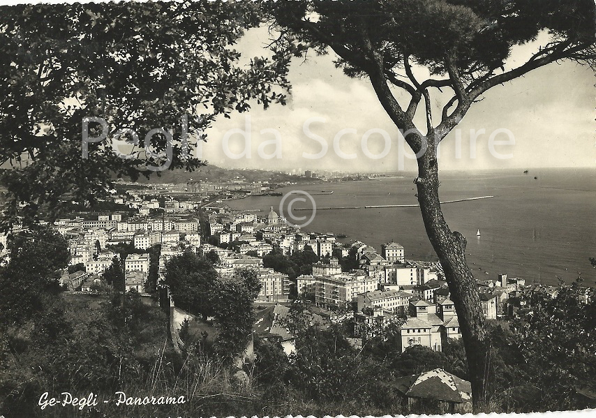 panorama11