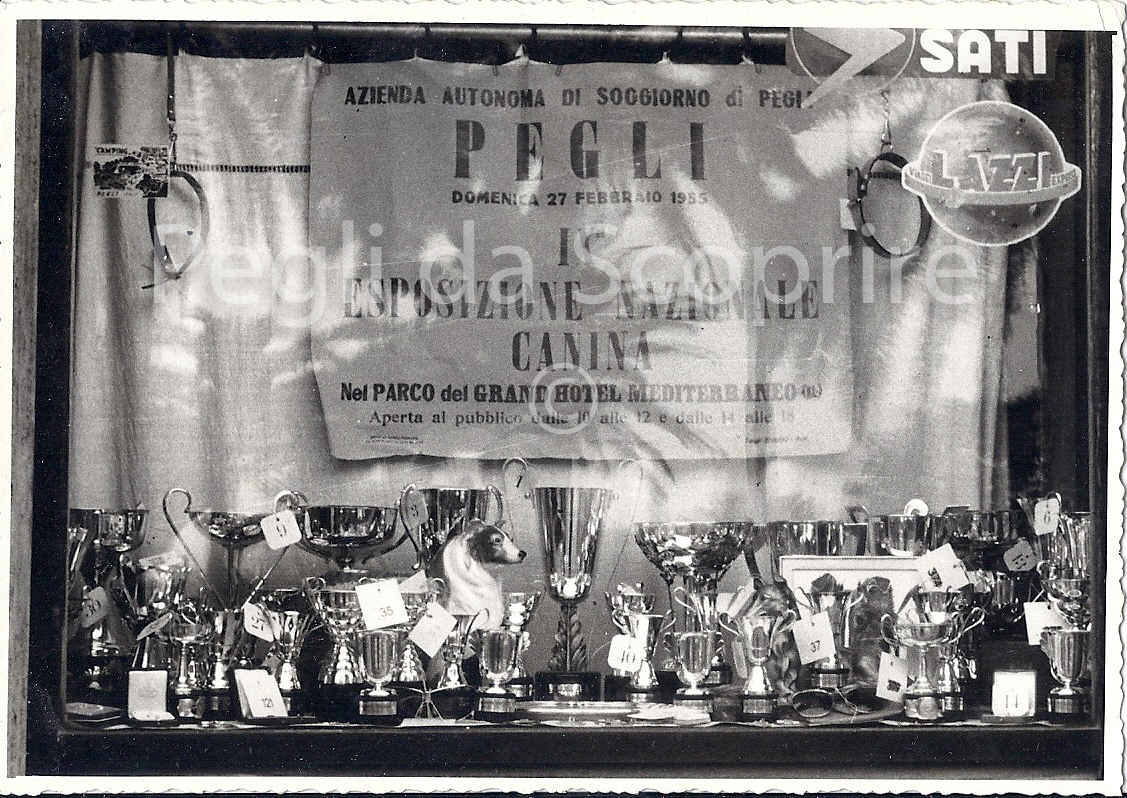 55-01