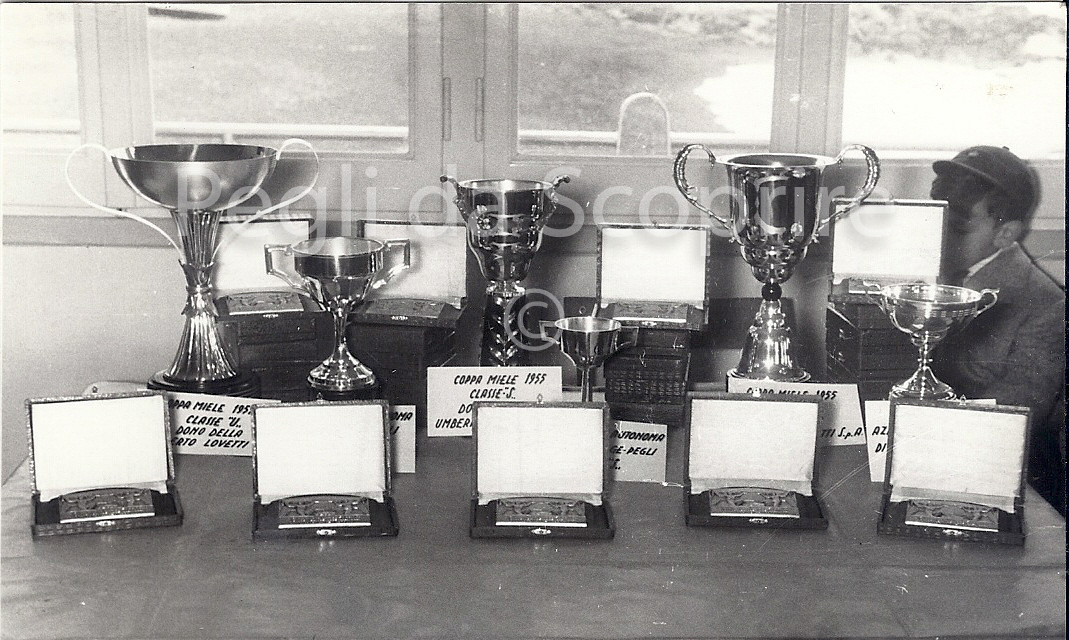 55-02