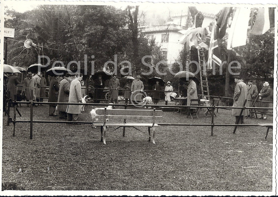 55-06