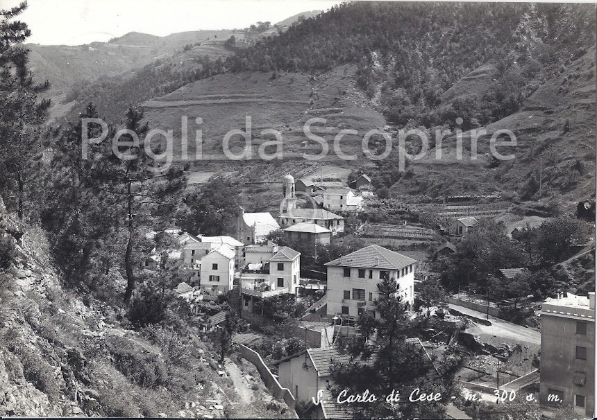 cartsca07
