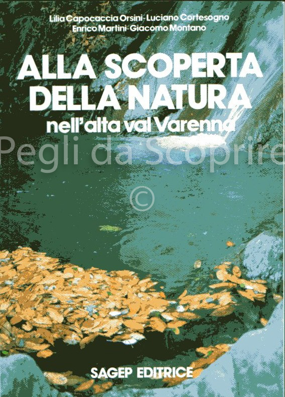 alta val varenna