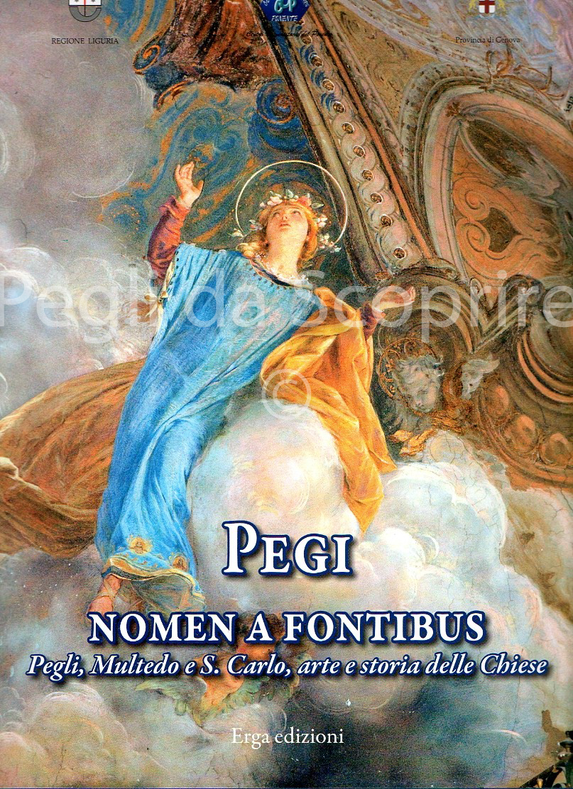 pegi nomen a fontibus