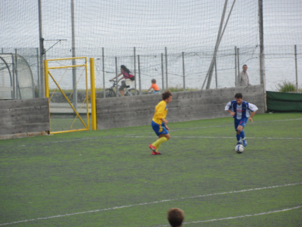 attacco del ceriale
