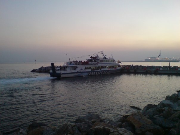navebus