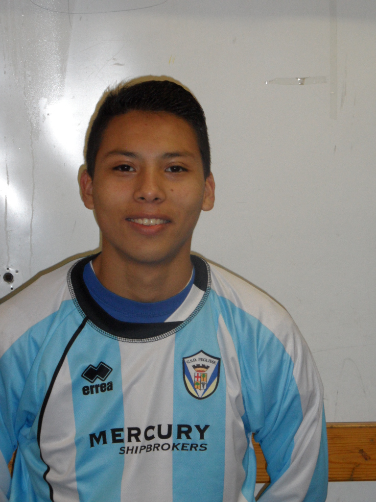 Arellano Balladares G.A.